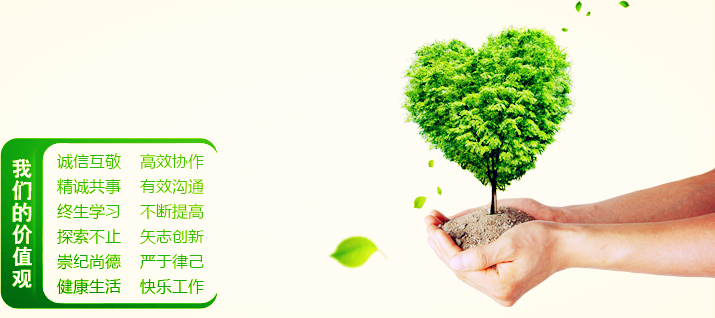 价值观图.png 价值观图.png